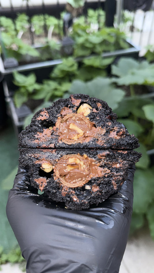 Ferrero Roche
