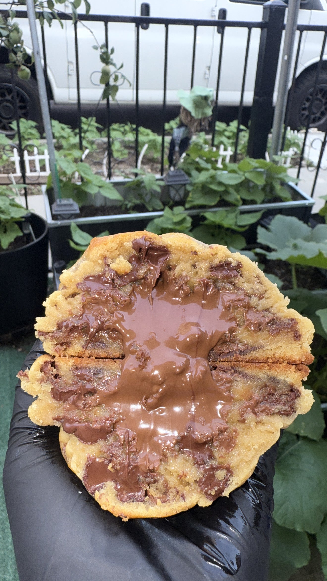 Nutella craze